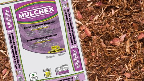 Paillis de pruche  3 pi.cu /85L