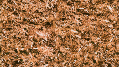 Paillis Cèdre Naturel 2pi.cu. / 56L *Livraison gratuite