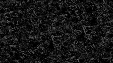 Paillis de Cèdre Noir 2pi.cu. / 56L