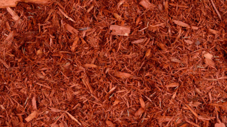 Paillis Cèdre Rouge  2pi.cu. / 56L