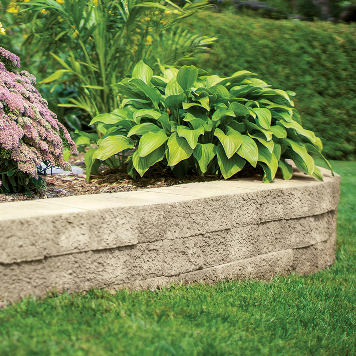 Wall -Rustico 2.0 - Image 3