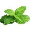 Toilet Bowl cleaner 10L - Image 2