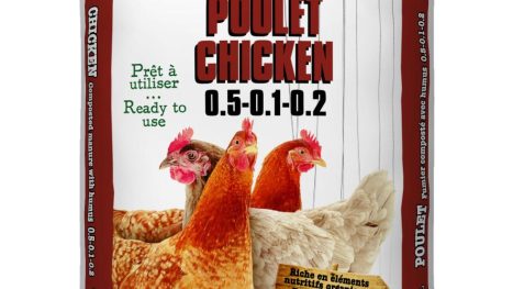 Fumier de poulet composté avec humus