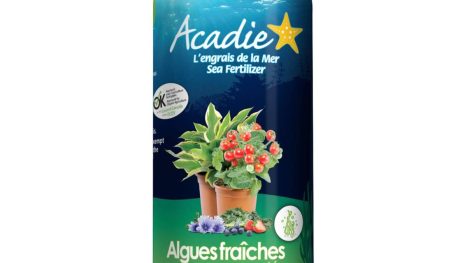 Algues fraiches concentrées 0.6 -0 6 -250 ml