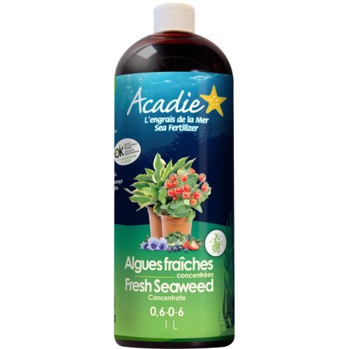 Algues fraiches concentrées 0.6 -0 6 -250 ml